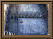 M�l�@����