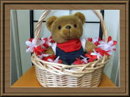 �������B