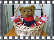 �f�l�@�O��