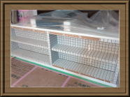 H�l�@����