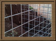 �l�l�@�O��